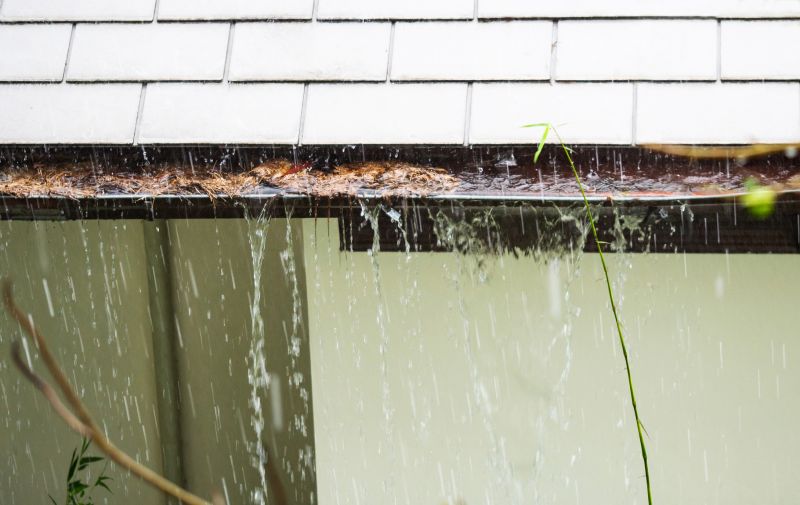 Gutter Cleaning Experts